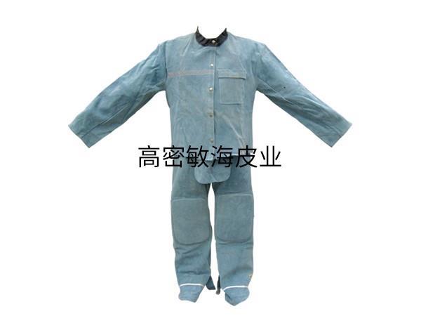 ֪ѡ纸Щע